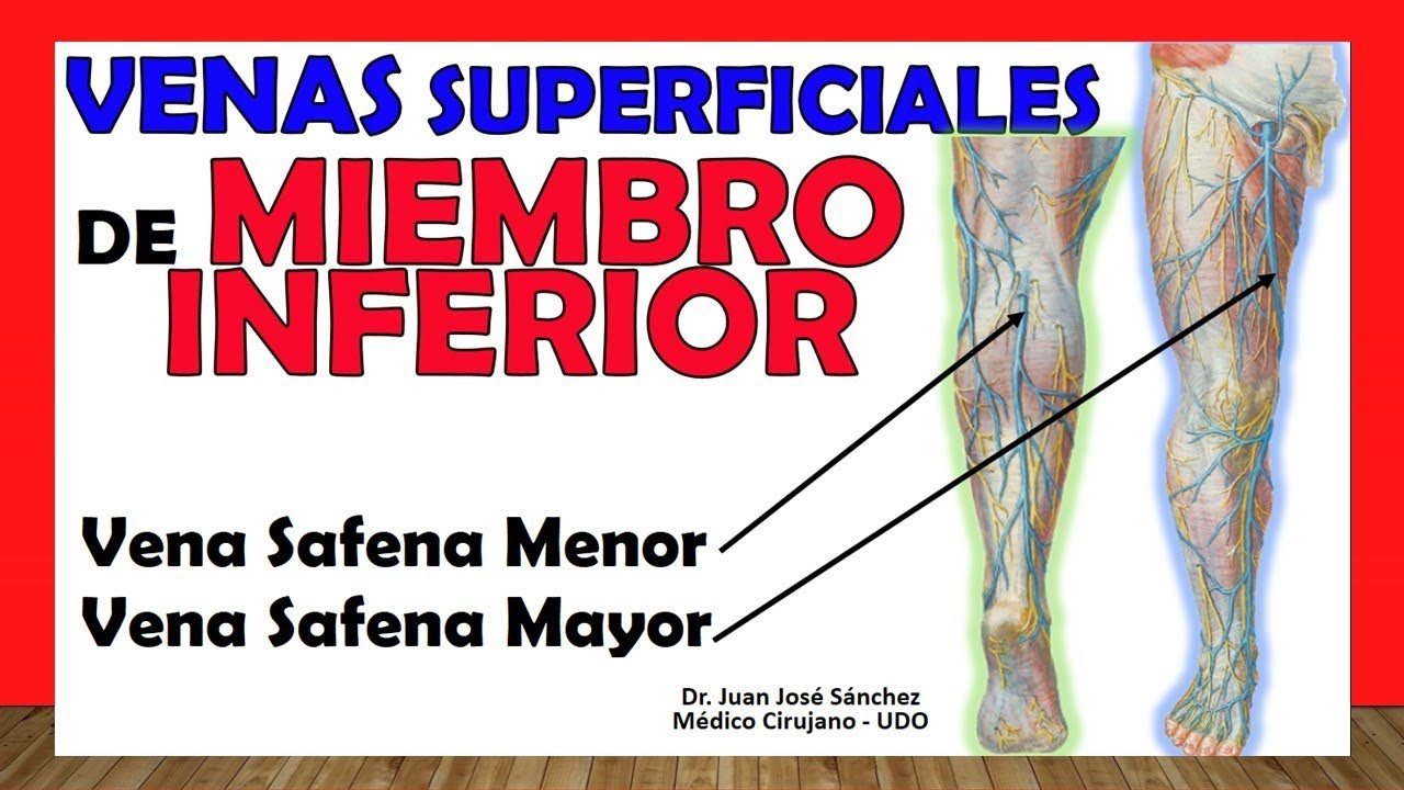 anatomia del sistema venoso de miembros inferiores