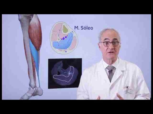 bulto en el gemelo con dolor