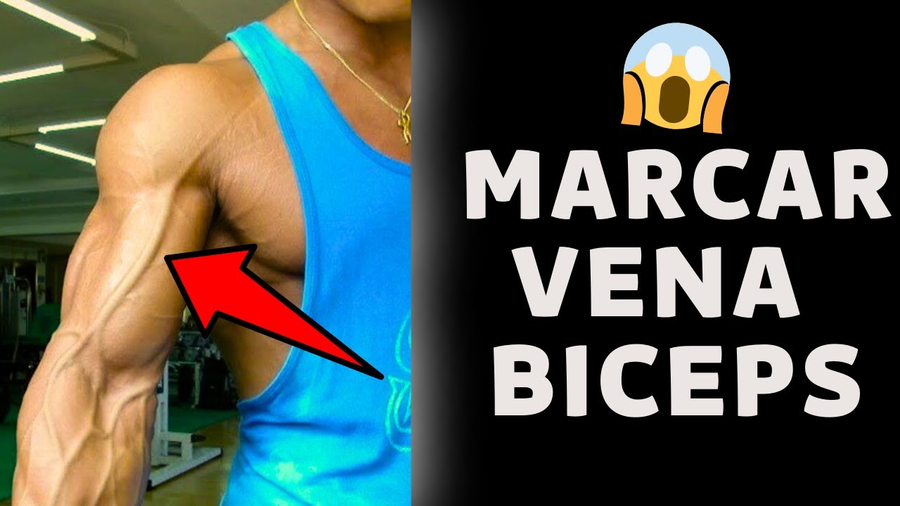 como marcar la vena del biceps