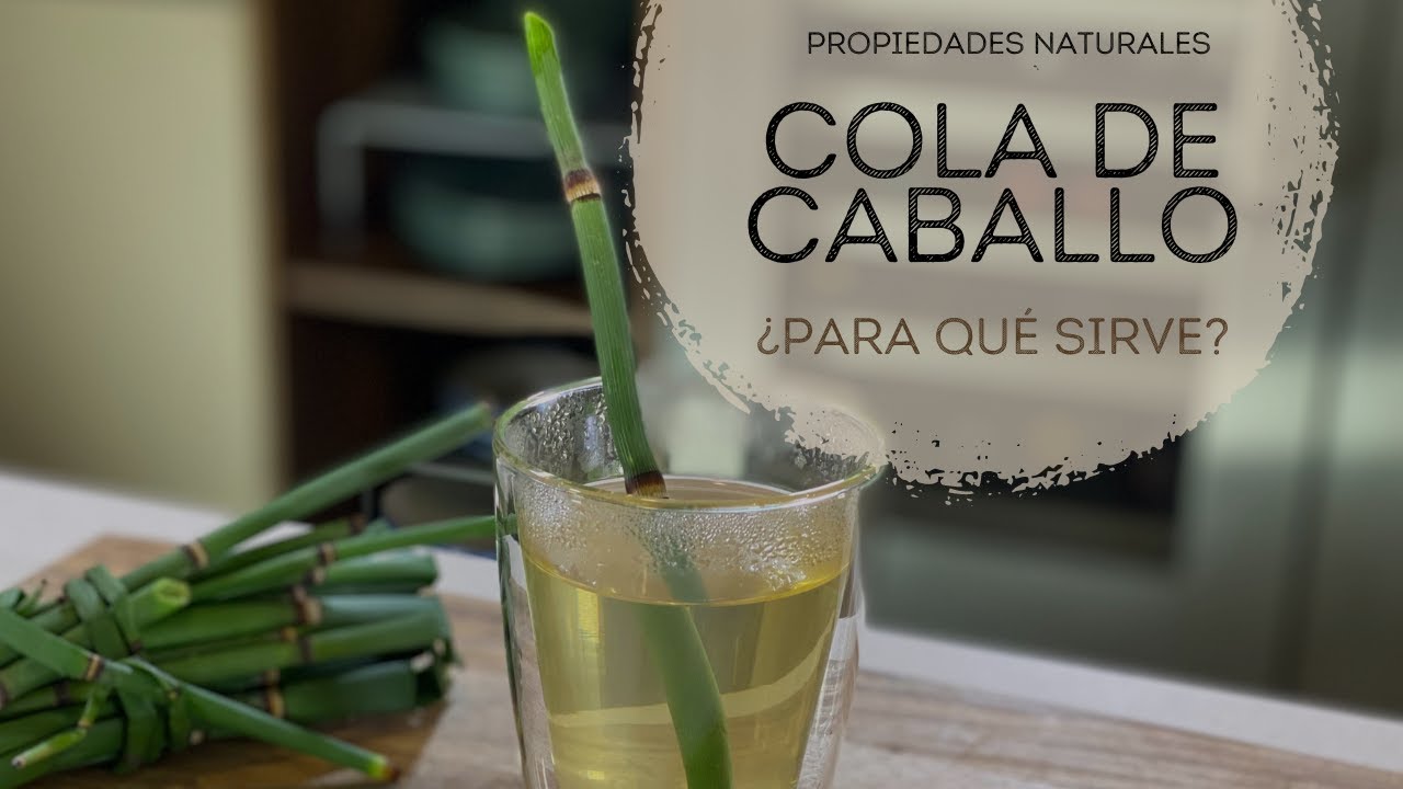 cuantos pelos tiene la cola de un caballo