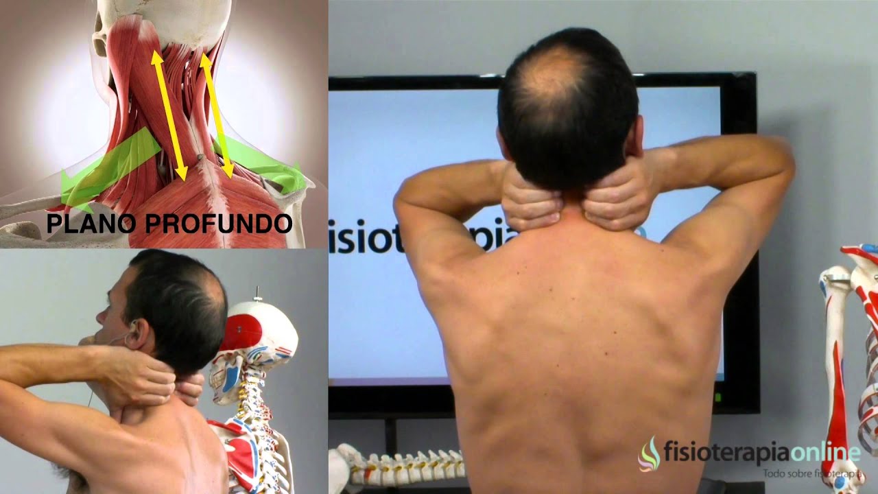 dolor constante en cuello y hombros
