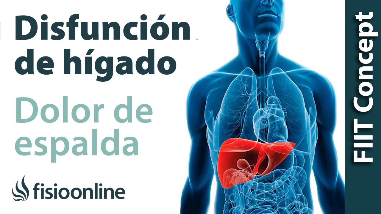 dolor de espalda y el higado