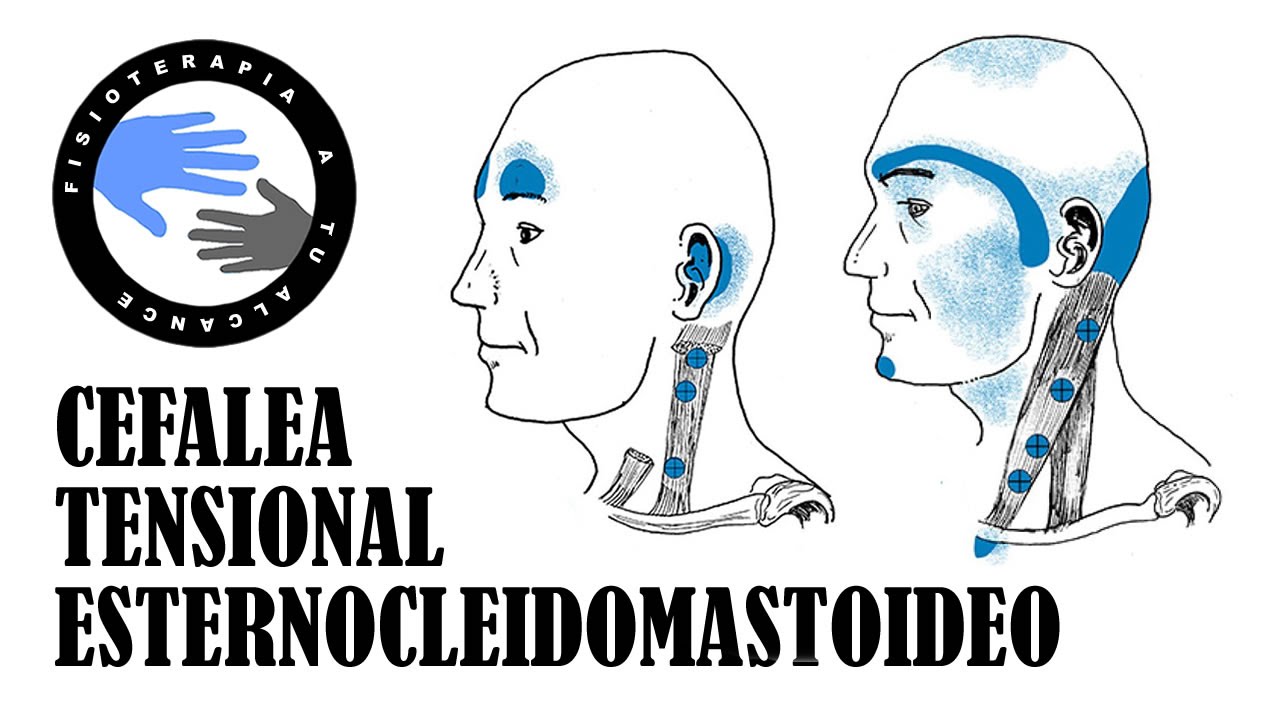 dolor detras de la oreja izquierda y cuello