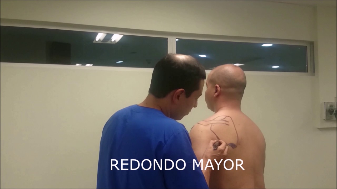 dolor en el musculo redondo mayor