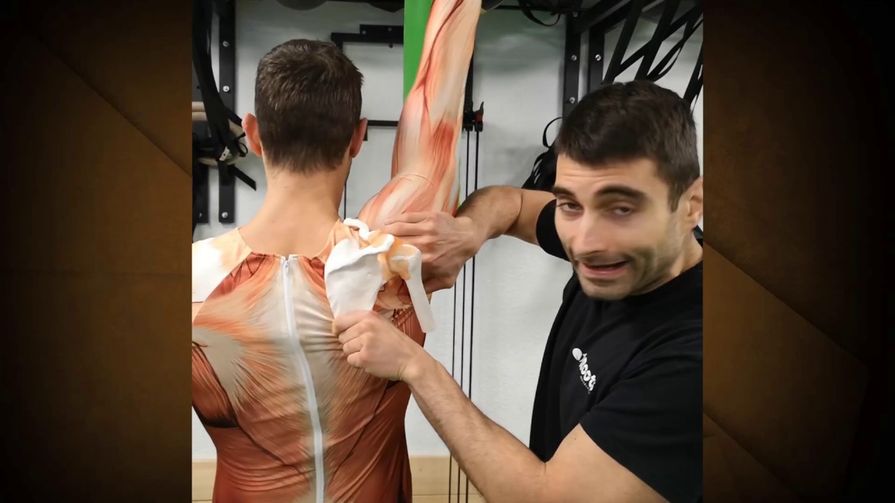 dolor en el trapecio lado izquierdo