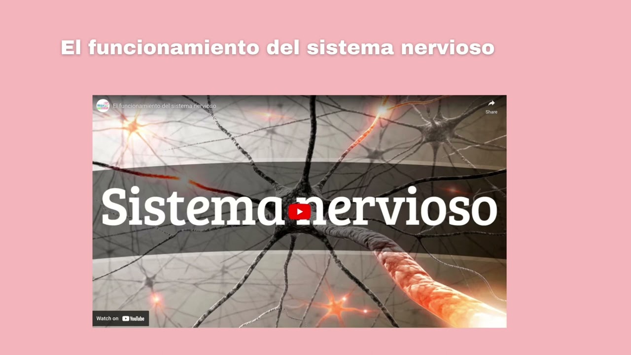 efectos del masaje sobre el sistema nervioso