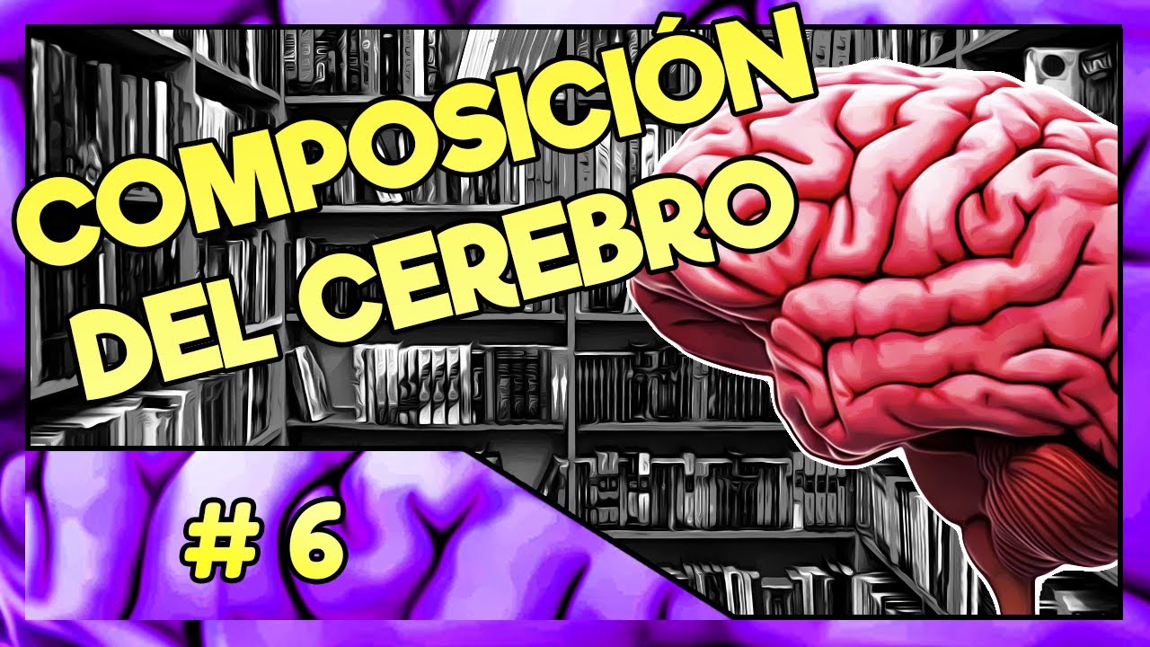el cerebro esta compuesto por millones de ellas