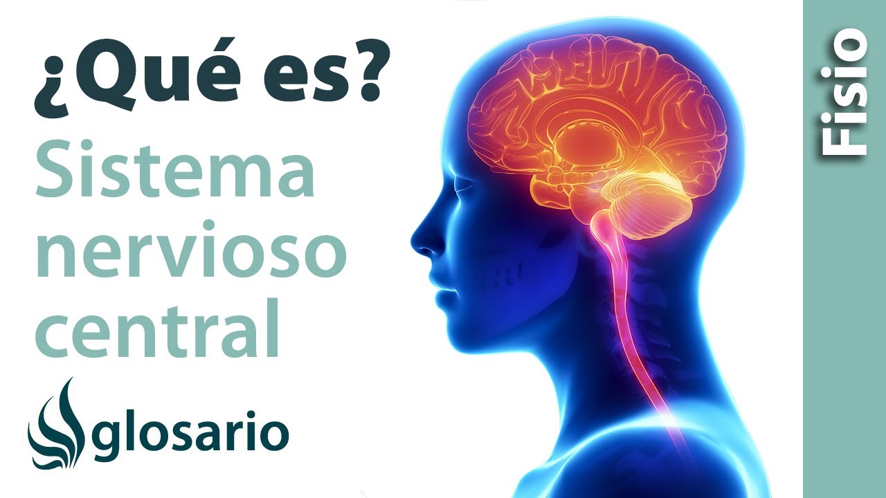 fisioterapia en neurología del sistema nervioso central