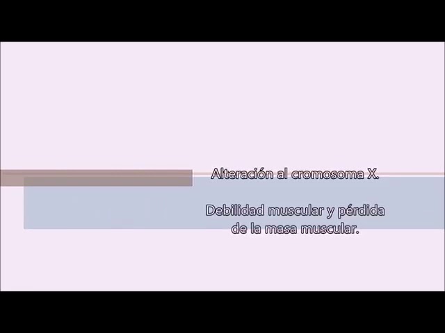 fisioterapia para distrofia muscular de duchenne