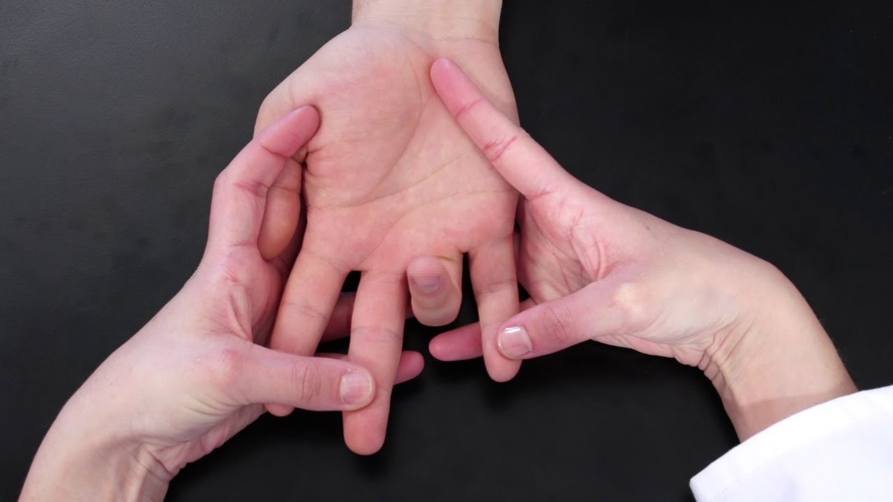 flexores de dedos de la mano