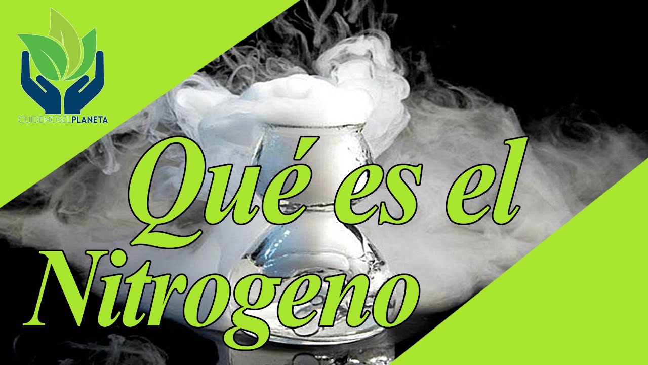 funciones del nitrogeno en el cuerpo humano