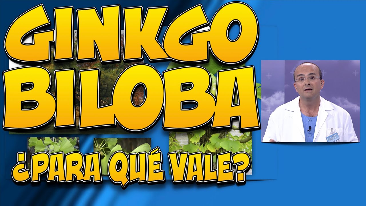 ginkgo biloba sirve para el vertigo