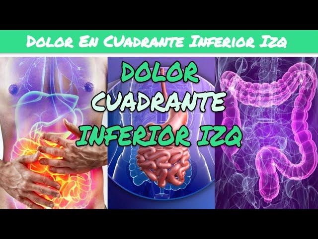 me late el costado izquierdo del abdomen