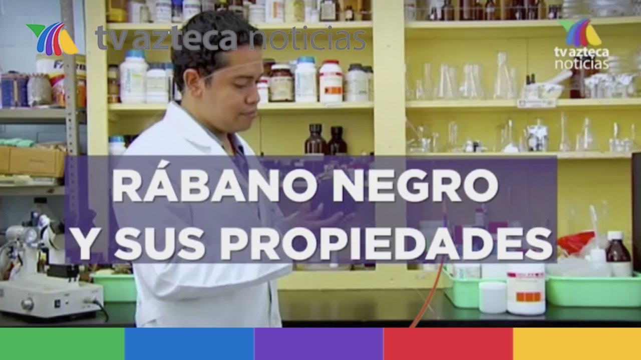 para que es el rabano negro