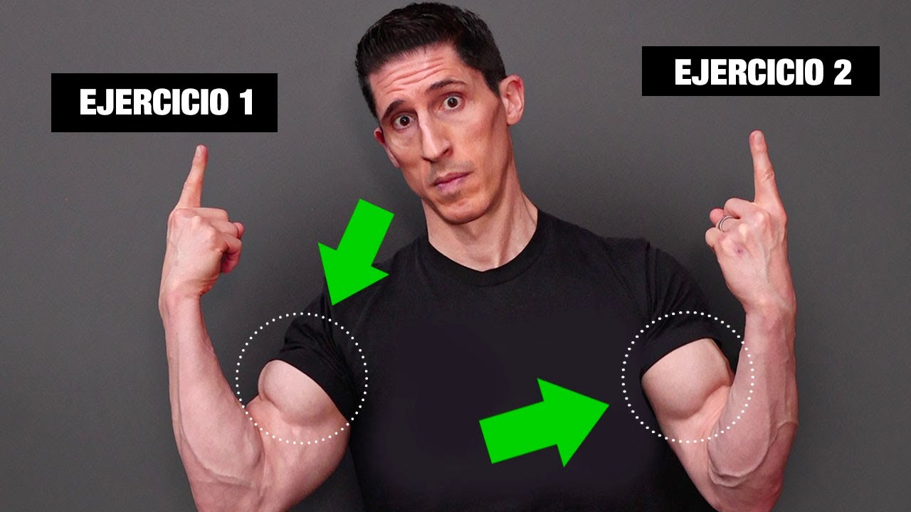 partes del biceps y como trabajarlas