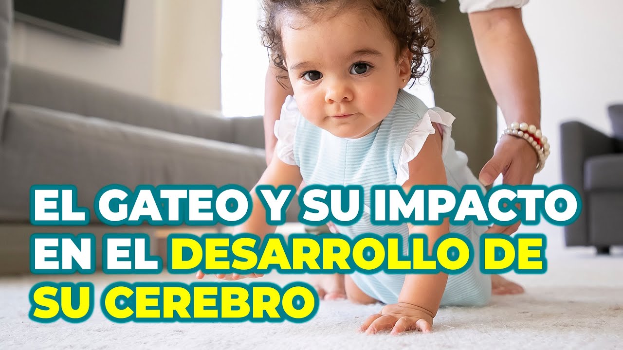 porque es importante gatear antes de caminar