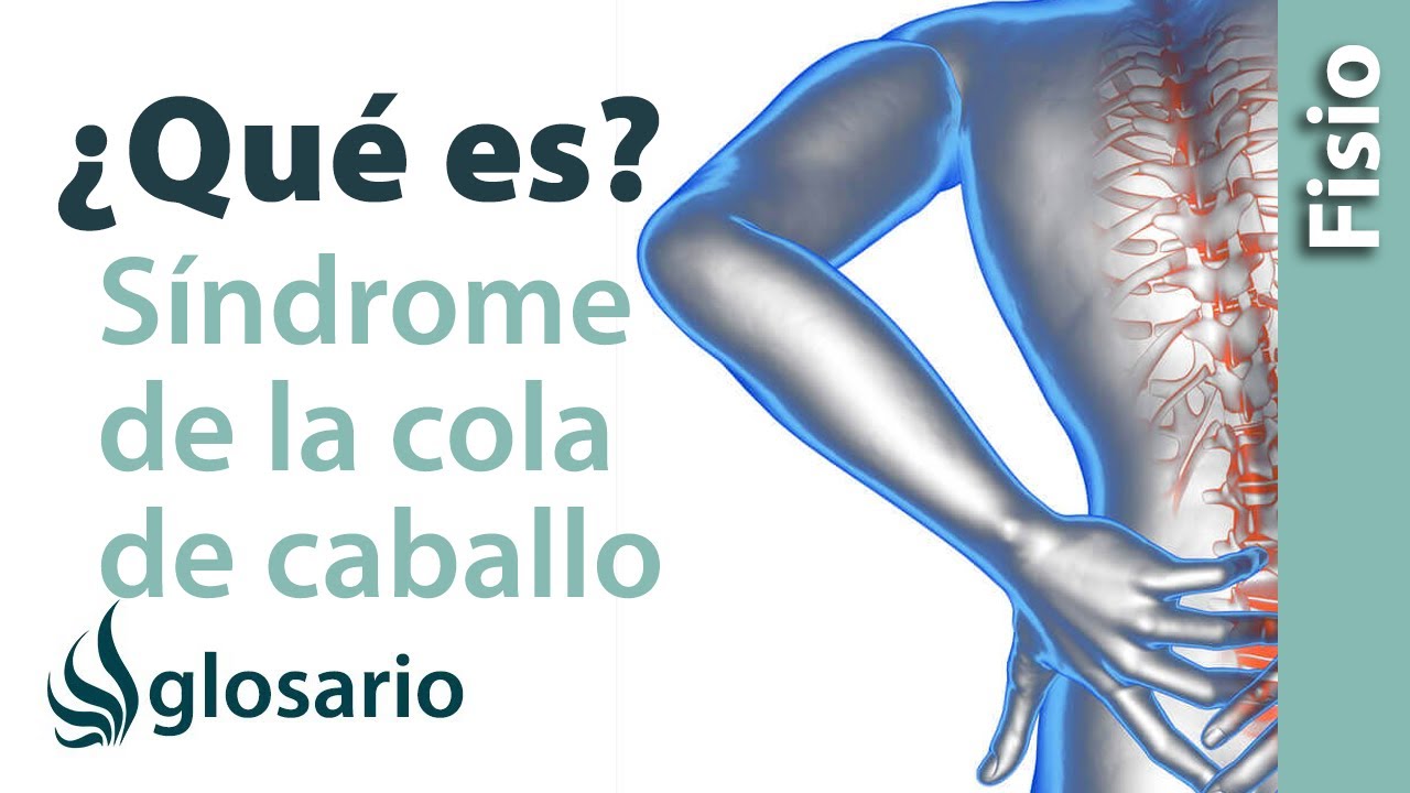 que es la cola de caballo en la columna vertebral