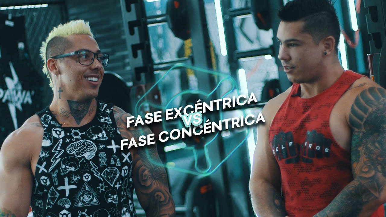 que es la fase concentrica y excentrica