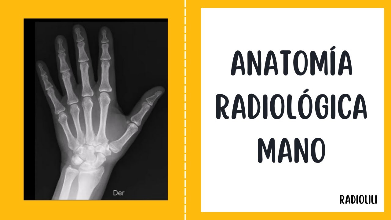 radiografia de radio y cubito normal