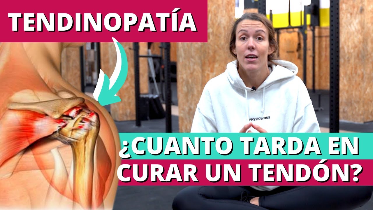 tiempo de recuperacion de un tendon
