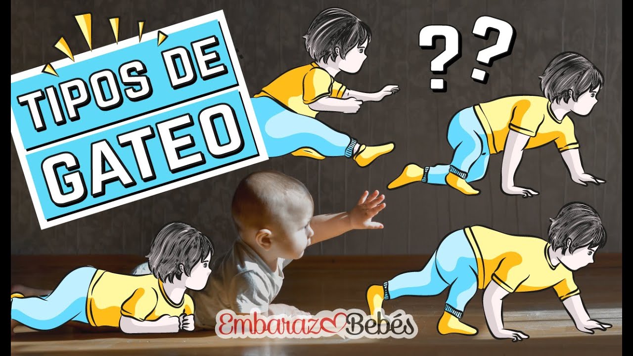 tipos de gateo y su significado