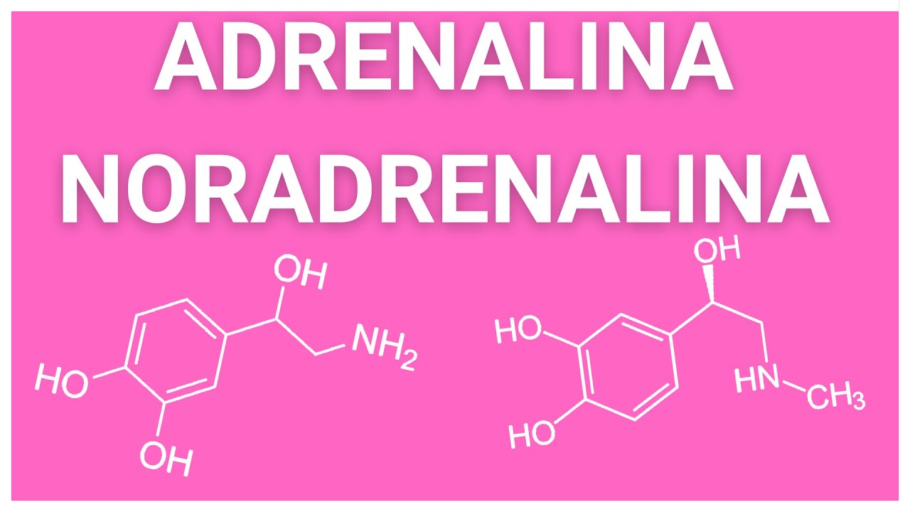adrenalina y epinefrina son lo mismo