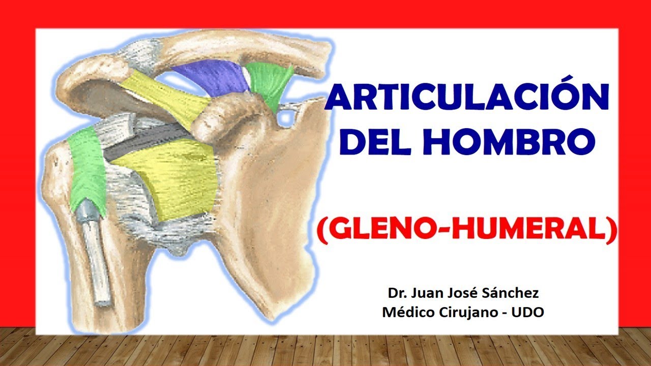 articulacion del hombro huesos que la forman