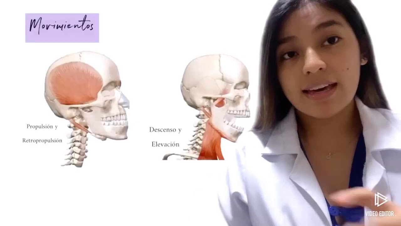 articulaciones de la cabeza y el cuello