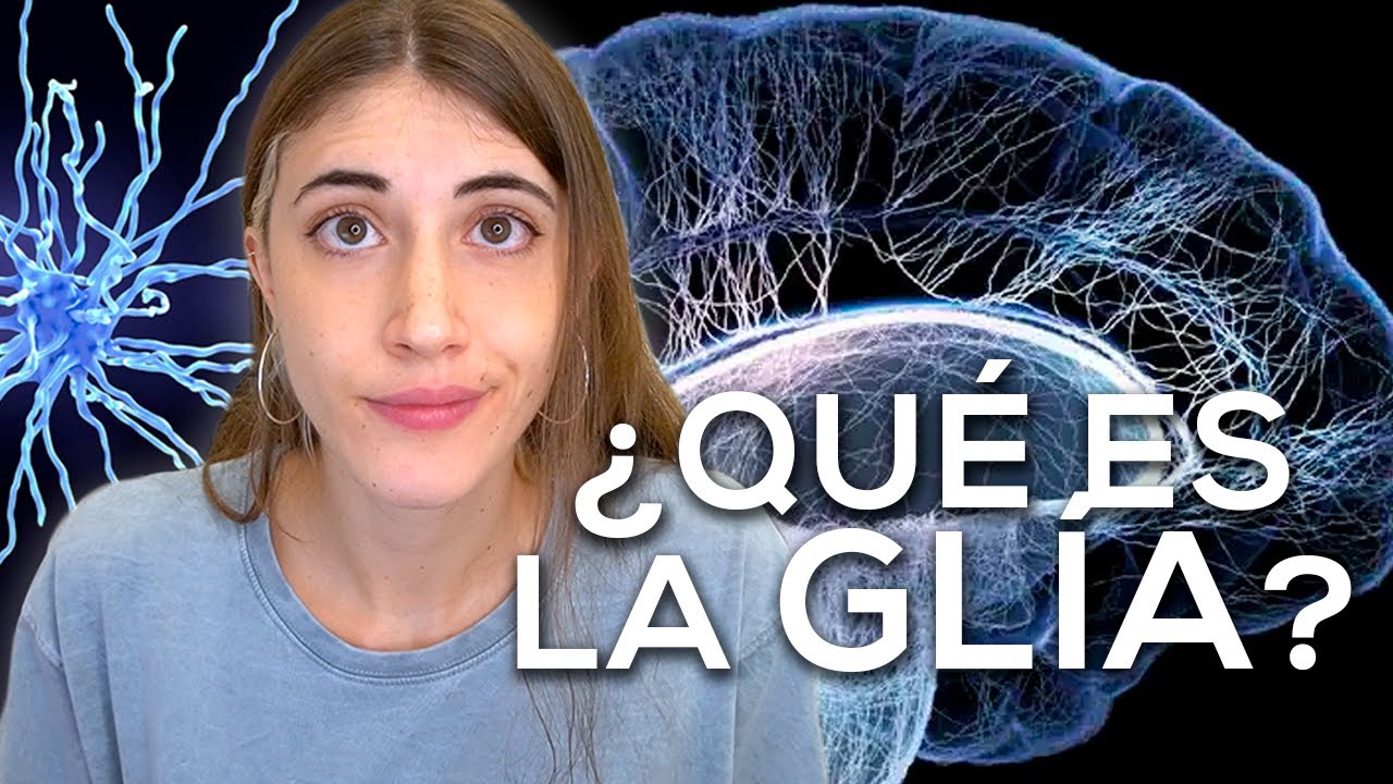 celula de schwann de la neurona