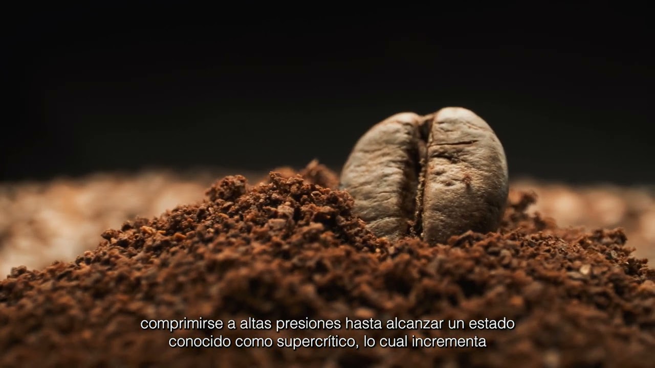 como le quitan la cafeina al cafe