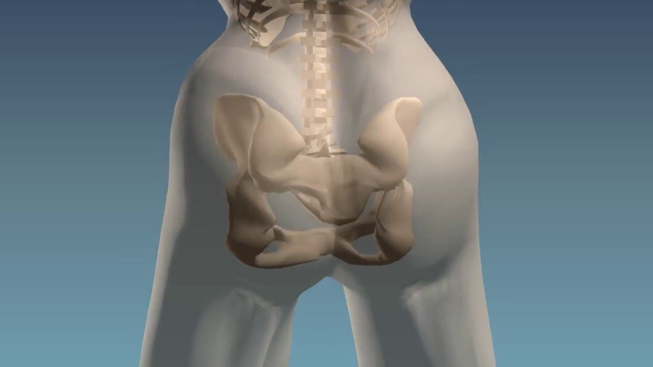 cuales son las caderas de una mujer