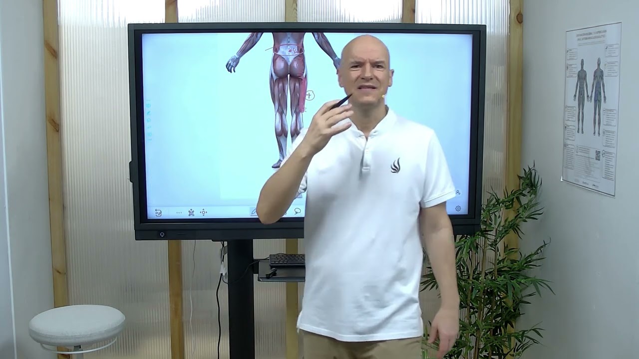 desgarro biceps femoral tiempo de recuperacion