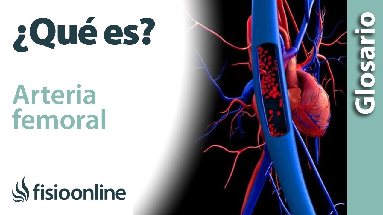 donde se encuentra la arteria femoral