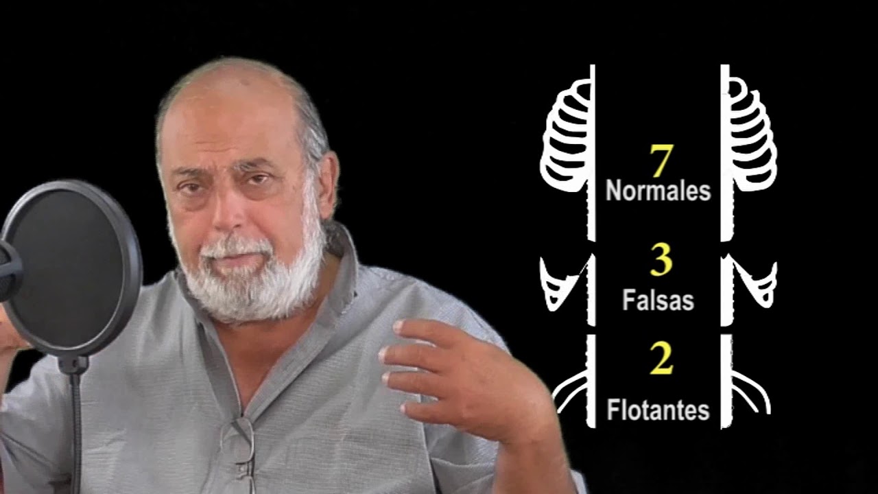 el hombre tiene una costilla menos