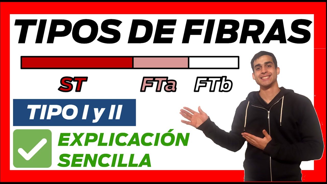 fibras musculares rojas y blancas diferencias