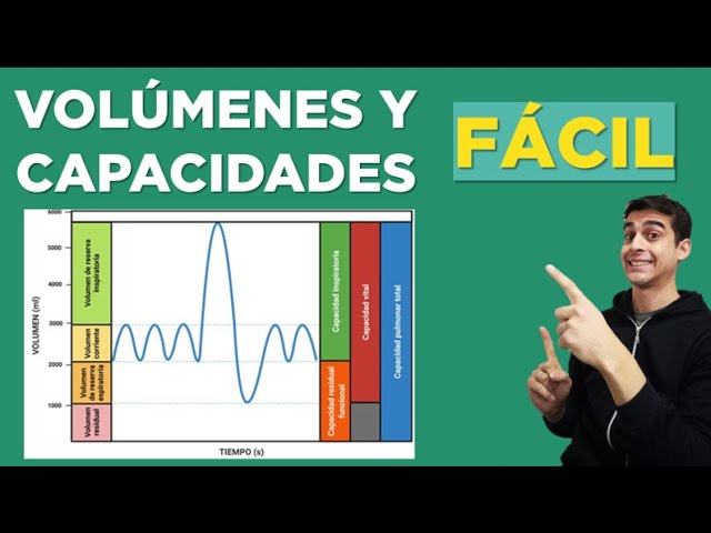 grafica de volumenes y capacidades pulmonares