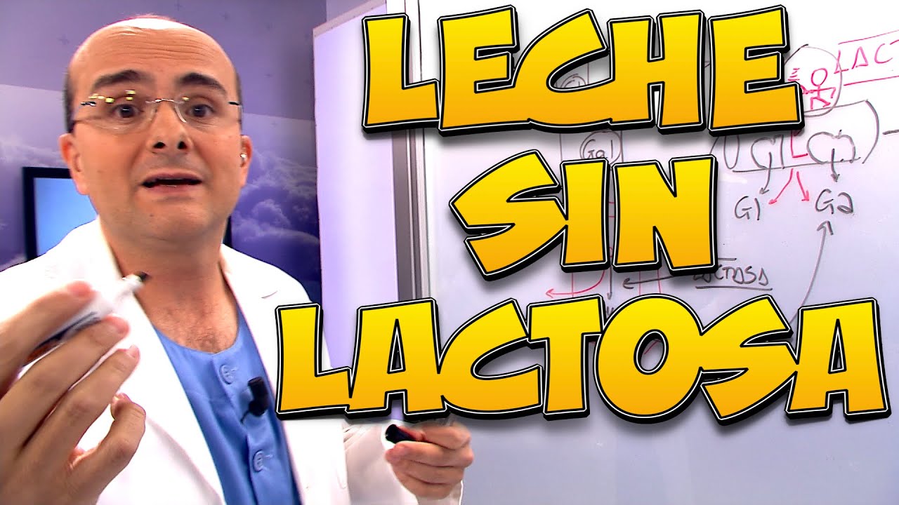 leche sin lactosa para bebes estreñimiento