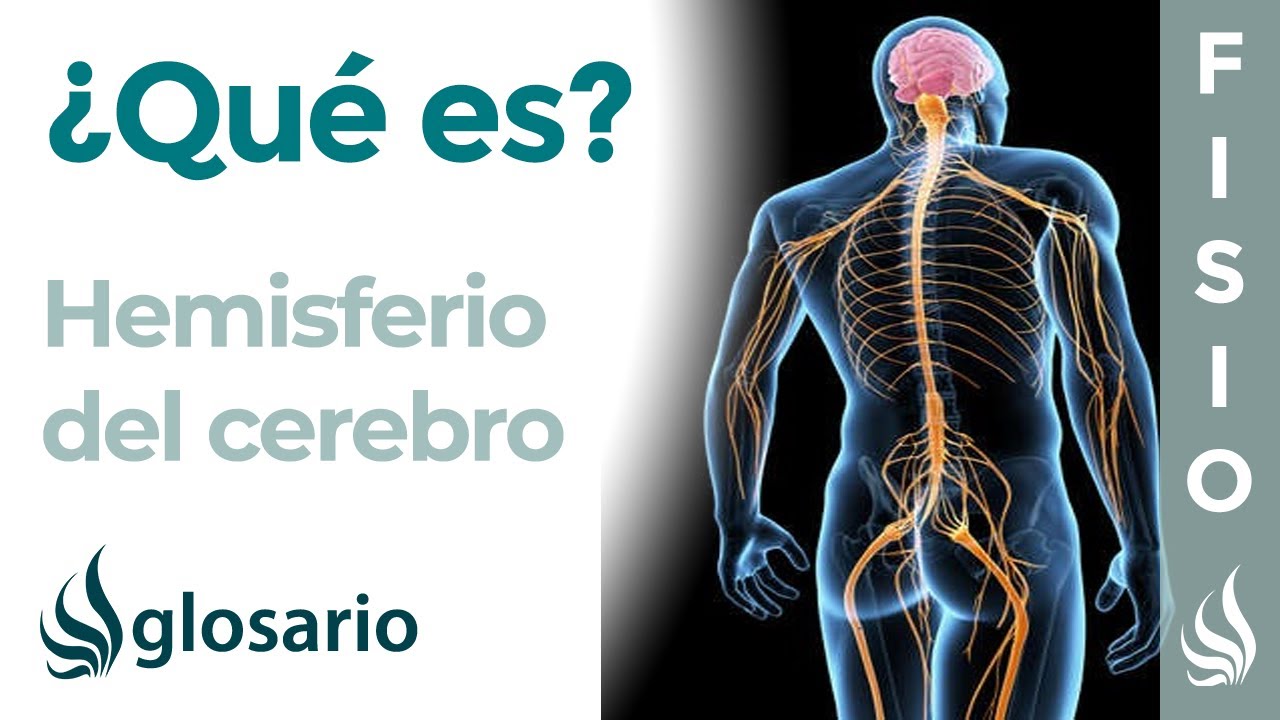 los hemisferios cerebrales y el lenguaje