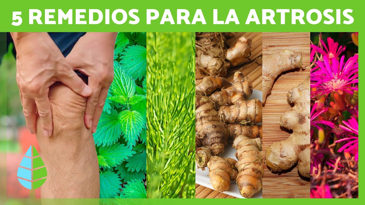 medicamentos naturales para la artrosis degenerativa