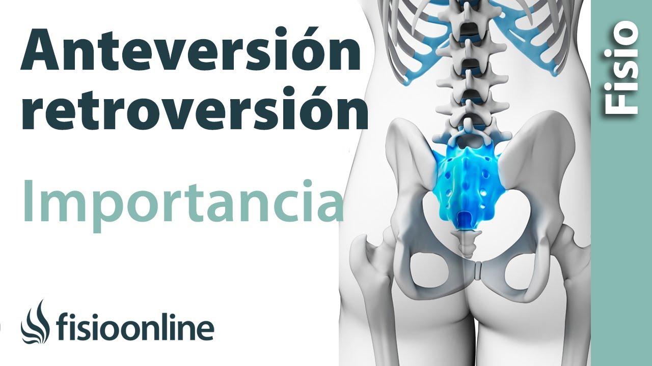 movimientos de anteversion y retroversion de la pelvis