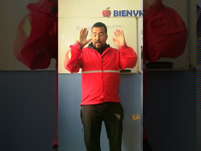 musculos que intervienen en el baloncesto