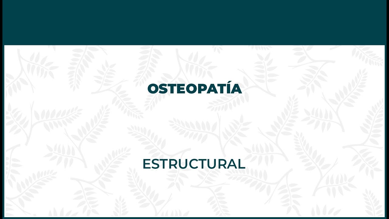 nutrición fisioterapia y osteopatía en vitoria centro onure