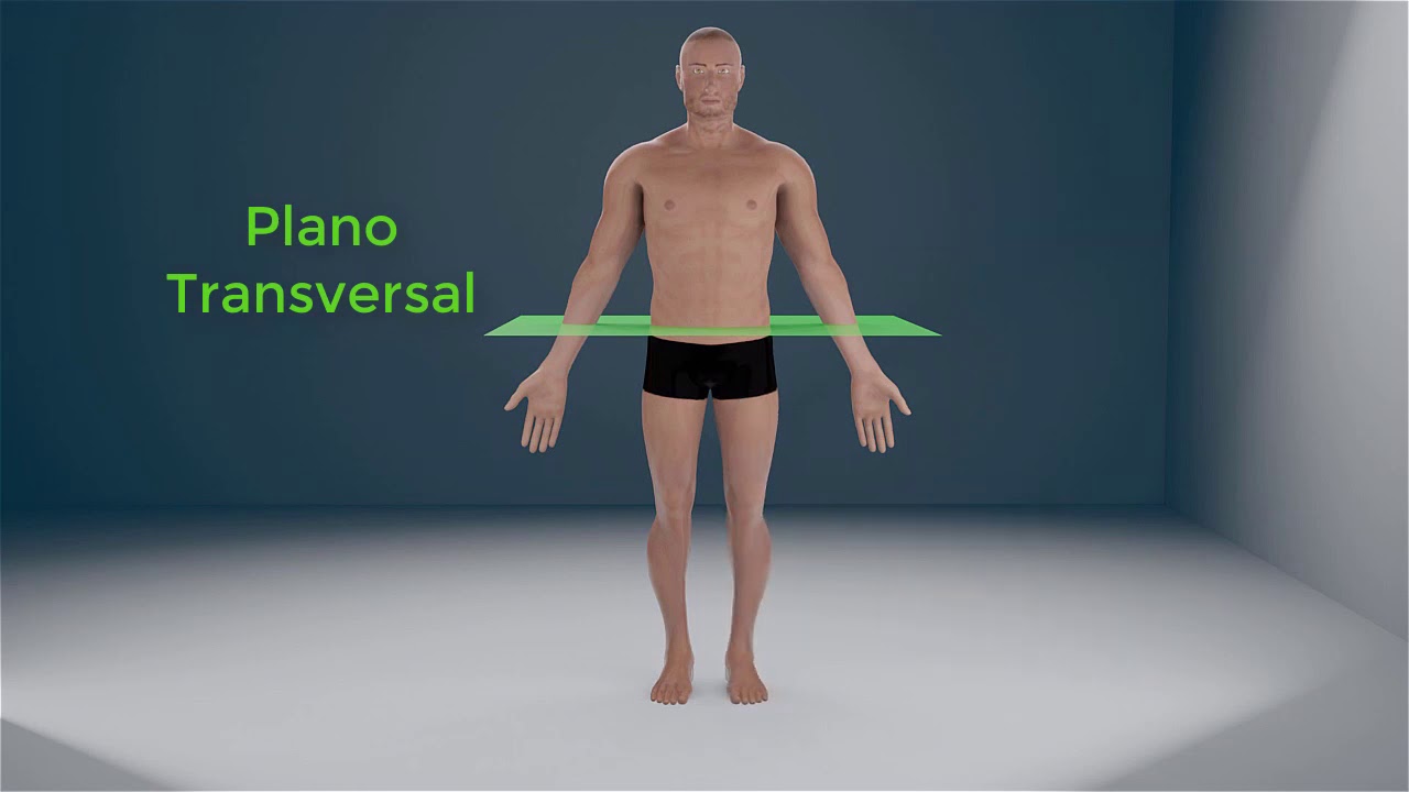 planos del cuerpo humano medial sagital frontal y horizontal