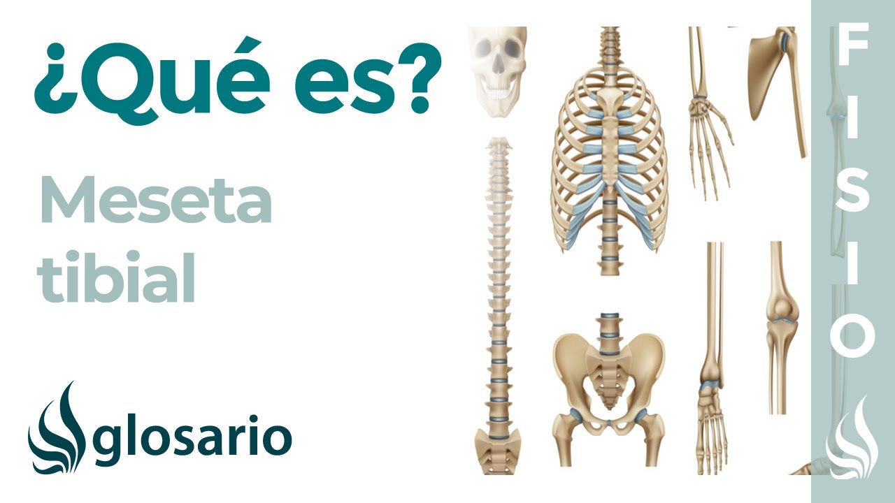 platillo tibial externo de la rodilla derecha