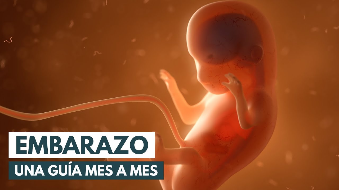 por donde se hacen los bebes