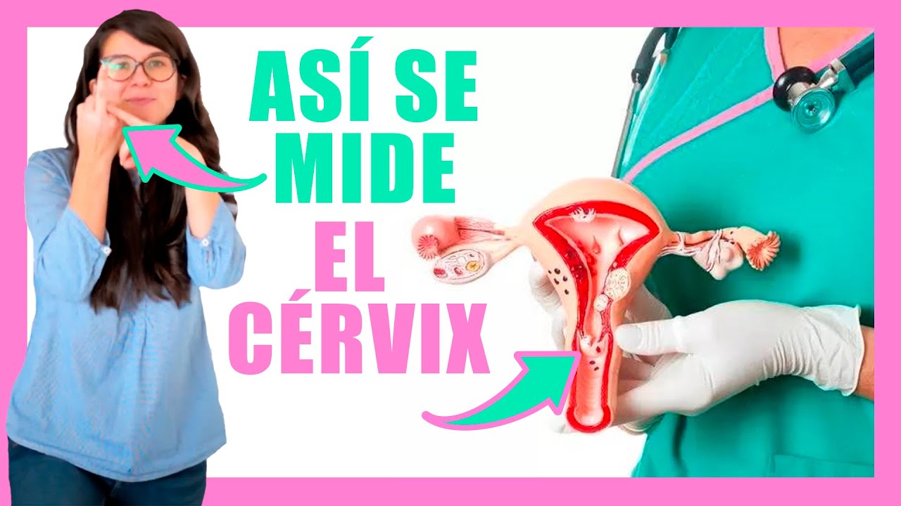 posicion del cervix antes dela menstruacion