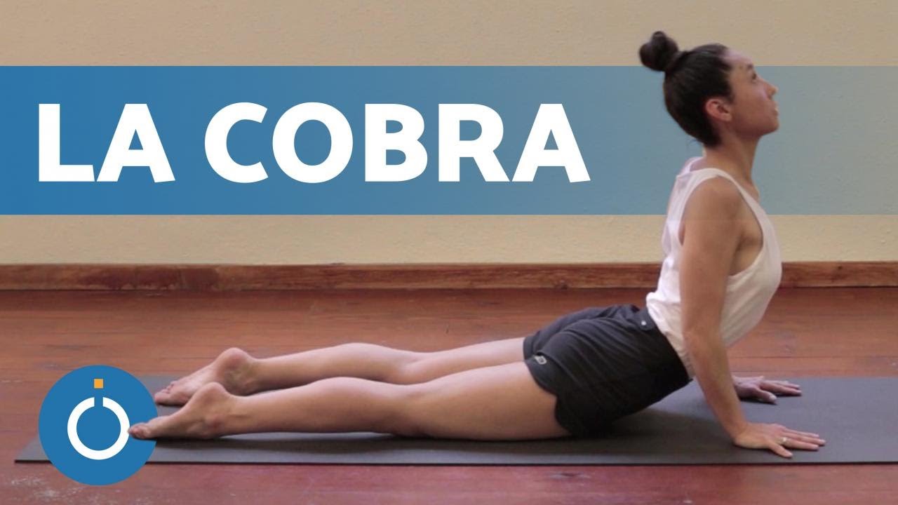 postura de la cobra y sus variantes