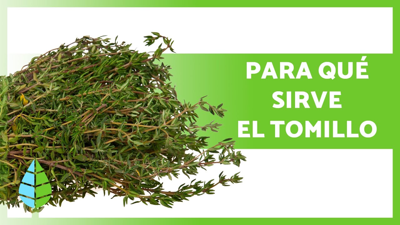 propiedades del tomillo para la piel