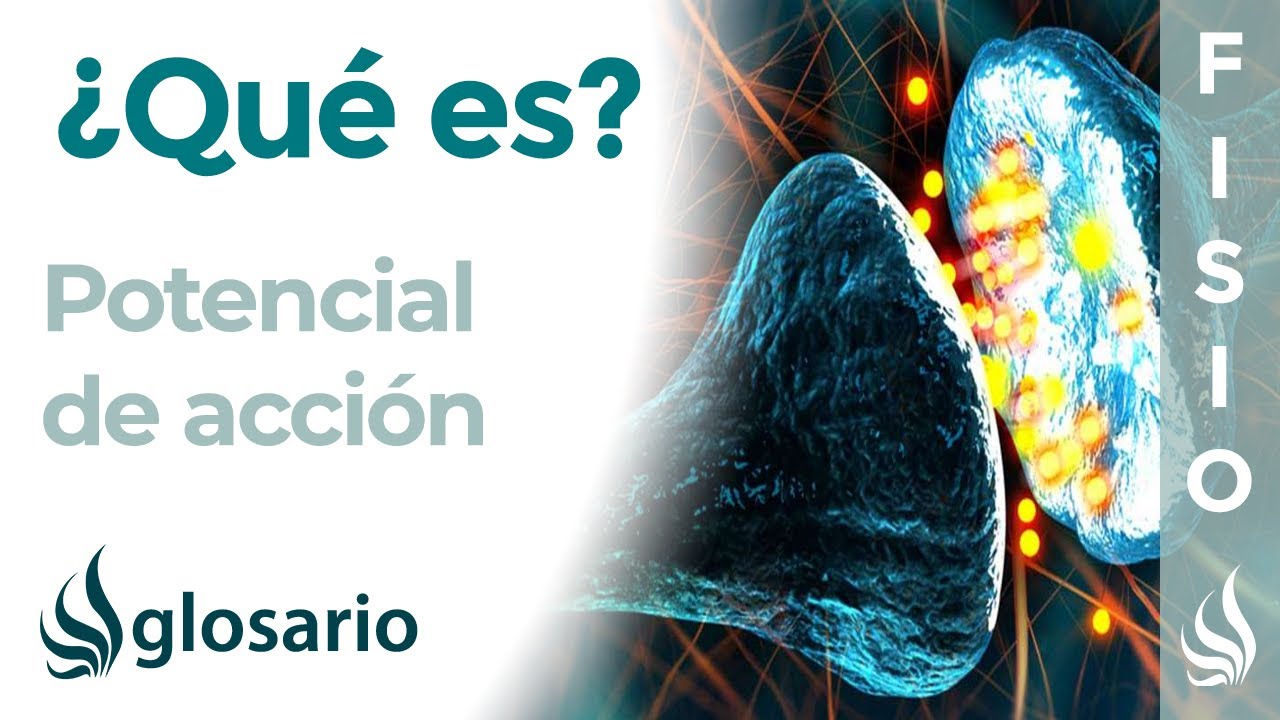 que es el potencial de accion