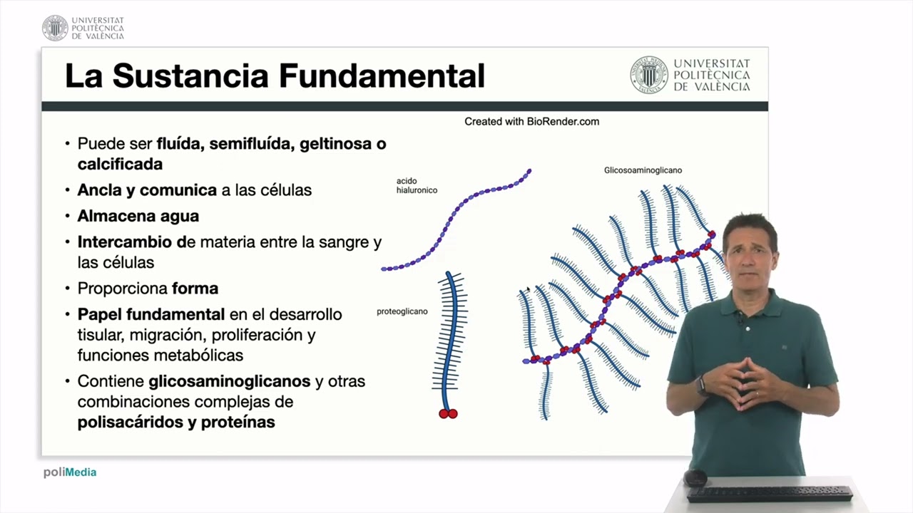 que es la sustancia fundamental amorfa